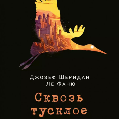 Книга Сквозь тусклое стекло